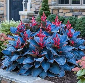 Хоста Грин Фог купить по цене от 669р. в интернет-магазине «Посадика» с доставкой почтой в в Покачие и по всей России – [изображение №1].