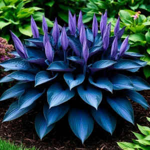 Хоста Сикрет Гров купить по цене от 570р. в интернет-магазине «Посадика» с доставкой почтой в в Покачие и по всей России – [изображение №1].